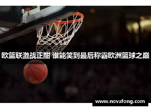 欧篮联激战正酣 谁能笑到最后称霸欧洲篮球之巅